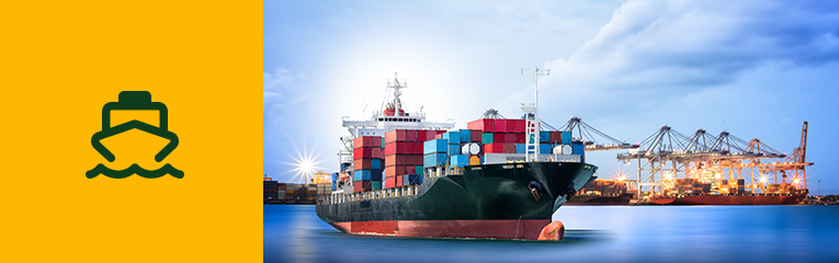 Marine engine oil lubricants